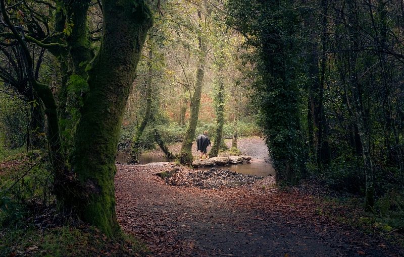 Arrival at the Starting Point of the Camino de Santiago