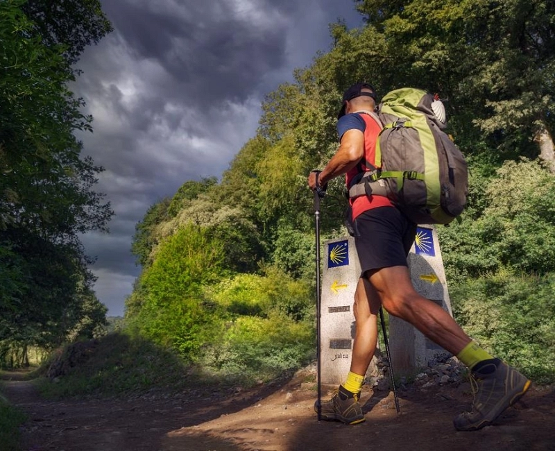 Peregrino Camino de Santiago