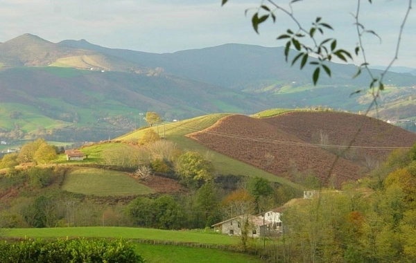 CF01 - Saint Jean de Pied de Port - Roncesvalles - 21 km