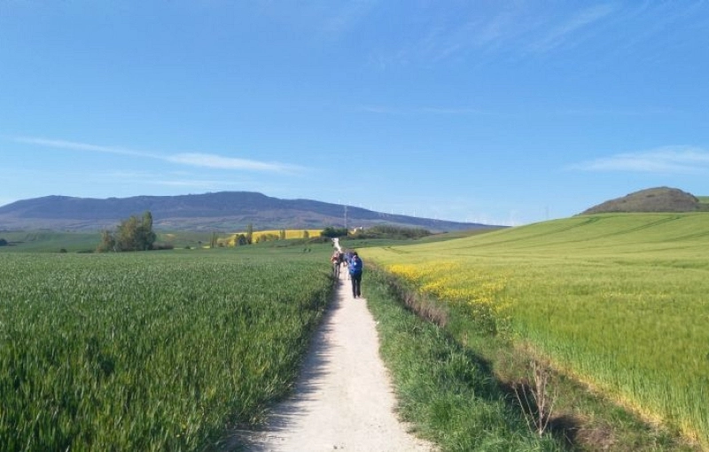 The most notable routes on the Camino de Santiago