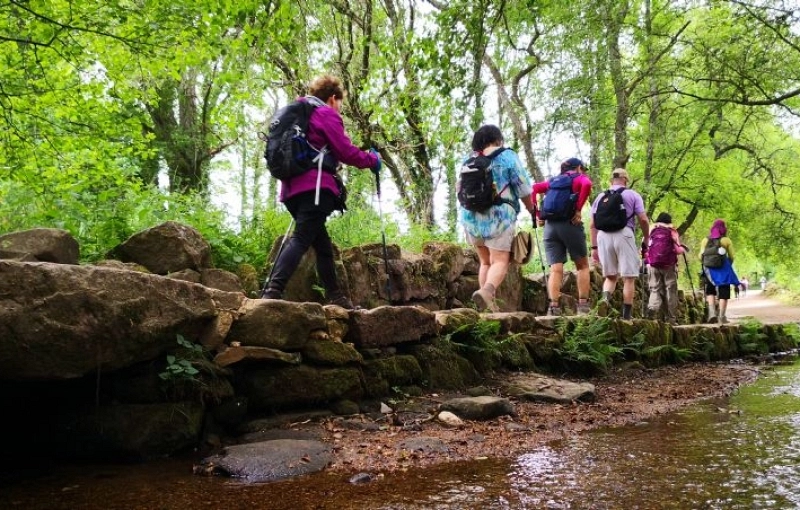 Camino de Santiago for Groups