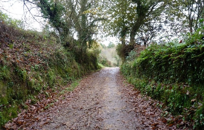 Camino de Santiago in December