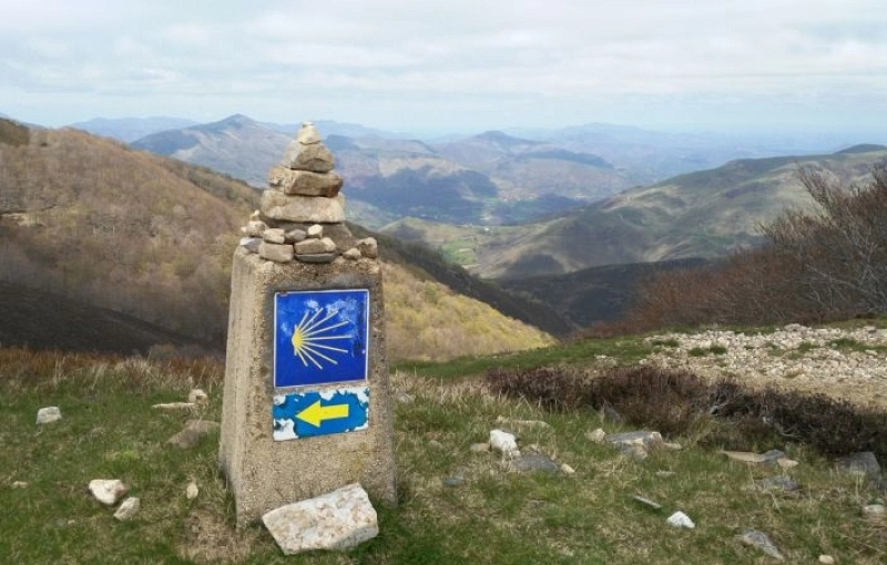 La etapa de los Pirineos, Camino Francés