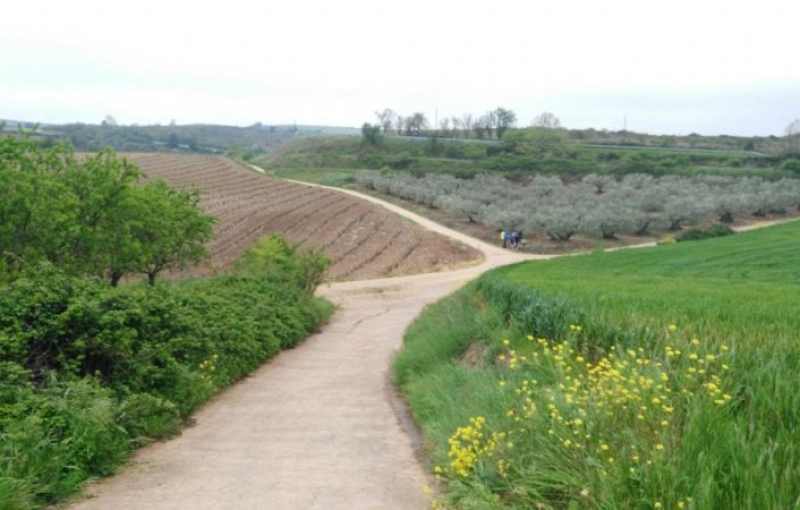 The Camino de Santiago through La Rioja