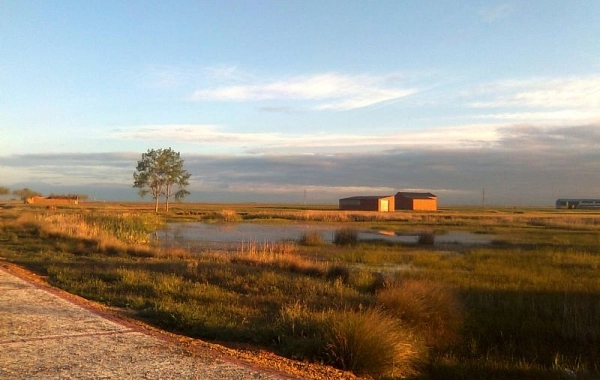 CF20 - Sahagún - El Burgo Ranero - 17,9 km