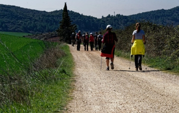 CFG001 - Sarria - Santiago de Compostela Para Grupos Escolares